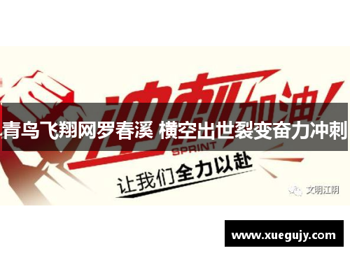 青鸟飞翔网罗春溪 横空出世裂变奋力冲刺